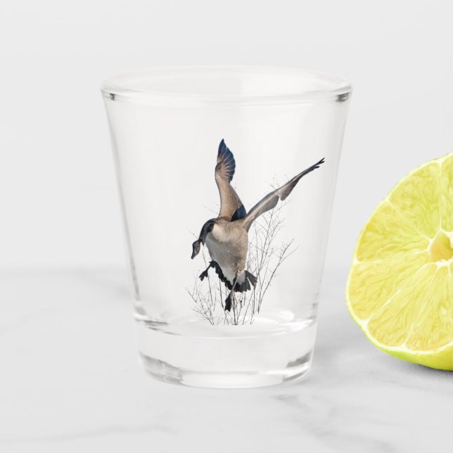 Canada Goose, Art Shot Glass (Front)