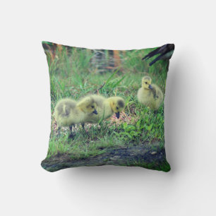 Canada Goose Babies Wildlife   Throw Pillow