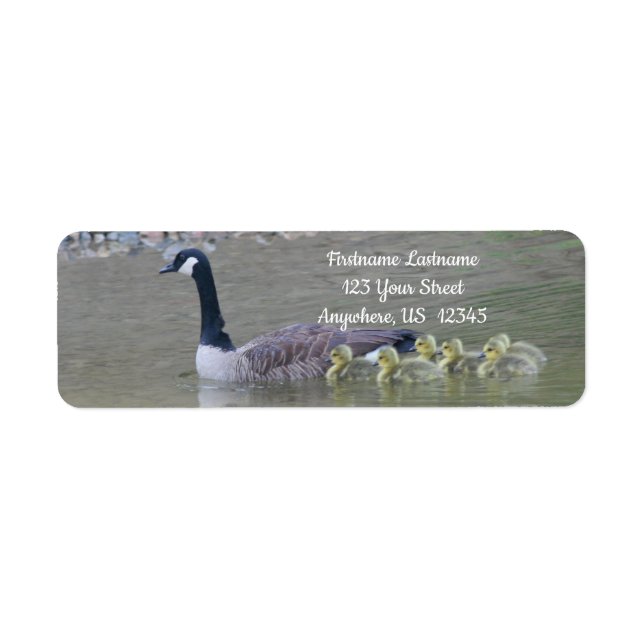 Canada Goose Babies With Mom Animal Address (Front)