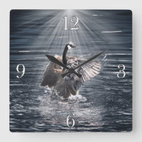 Canada Goose Bathing in a Lake Art Design