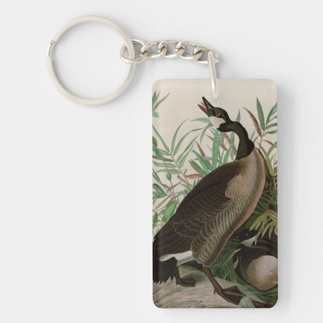 Canada Goose Birds of America Audubon (Devant)