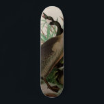 Canada Goose Birds of America Audubon Print Skateboard<br><div class="desc">Birds of America by John James Audubon depicting Canada Goose.
More birds of America by Audubon: https://bit.ly/3ix6e8Z</div>