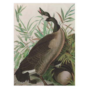 Canada Goose Birds of America Audubon Print Tablecloth