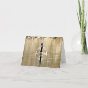 Canada Goose - Blank Greeting Card