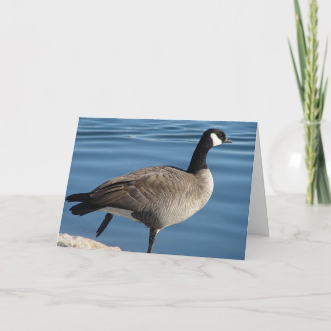 Canada Goose Card (Front)