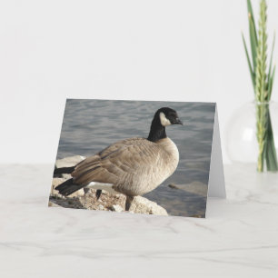 Canada Goose Card
