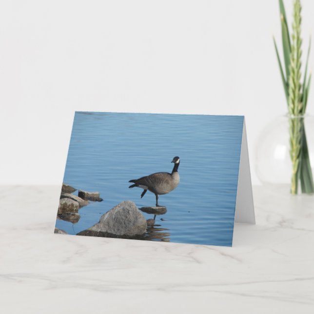 Canada Goose Card (Front)