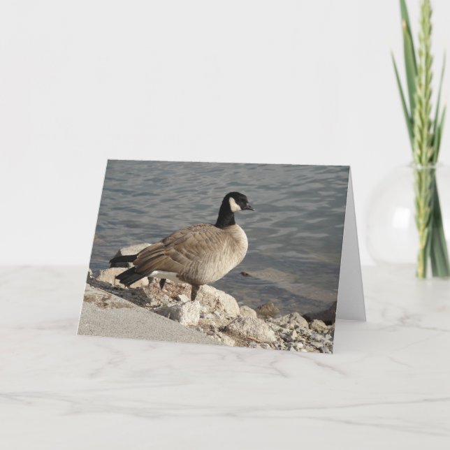 Canada Goose Card (Front)