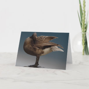 Canada Goose Cards Canada Geese Greeting Cards