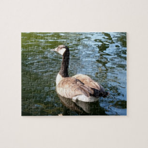 Canada Goose Closeup Jigsaw Puzzle