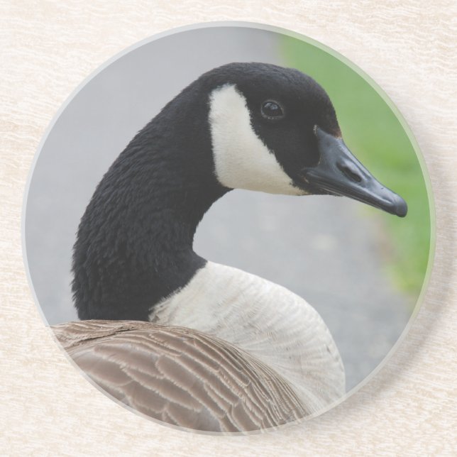 Canada goose coaster (Front)