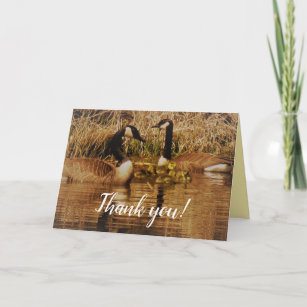 Canada Goose Family Cute Babies Goslings Geese Thank You Card
