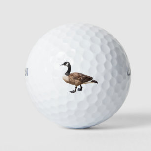 Canada Goose Golf Balls