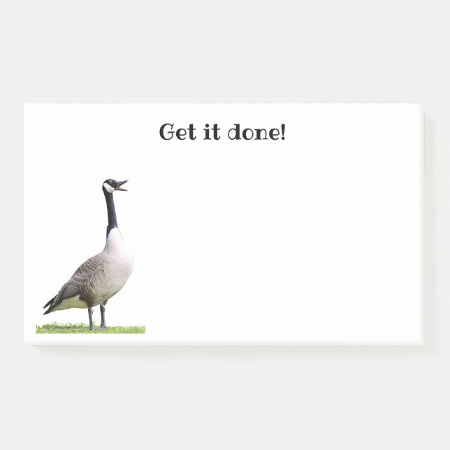 Canada Goose Honking Notes (Front)