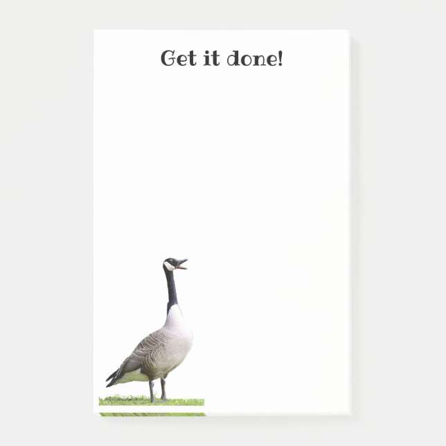 Canada Goose Honking Notes (Front)