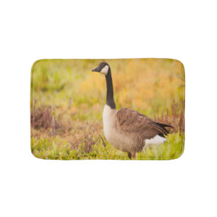Canada Goose in colourful field Bath Mat