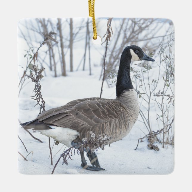 Canada Goose in Snow Ornament (Front)