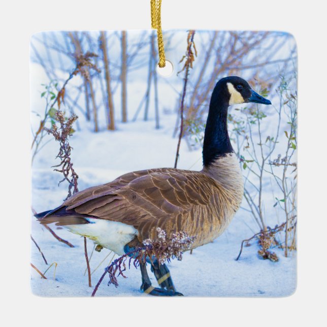Canada Goose in Snow Ornament (Front)