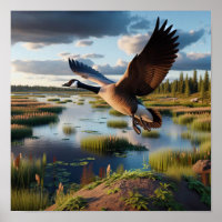 Canada Goose in Tranquil Wetlands