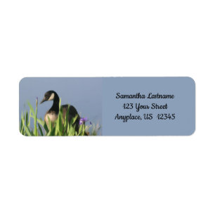 Canada Goose Irises Animal Art Adresse