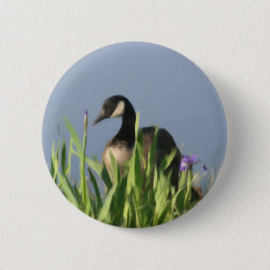 Canada Goose Irises Animal Art Button