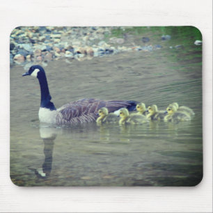 Canada Goose Mom Babies Nature  Mouse Pad