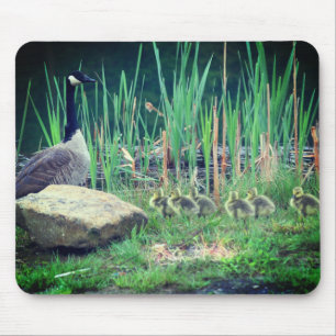 Canada Goose Mom Babies Nature Mouse Pad