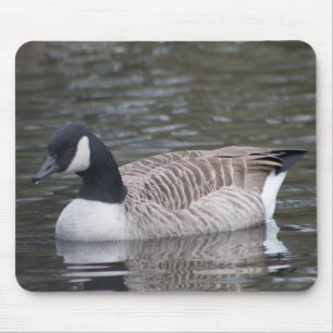 Canada Goose Mouse Pad