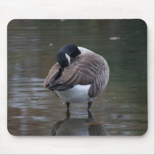 Canada Goose Mouse Pad