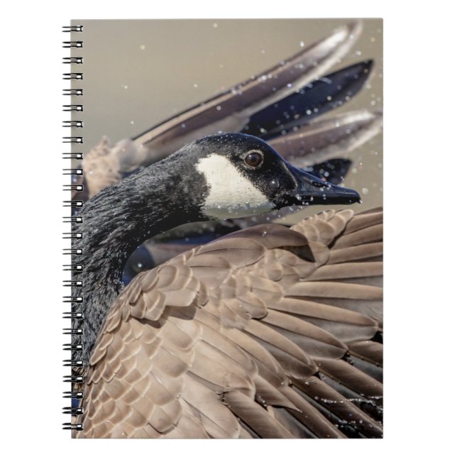 Canada Goose Notebook (Front)