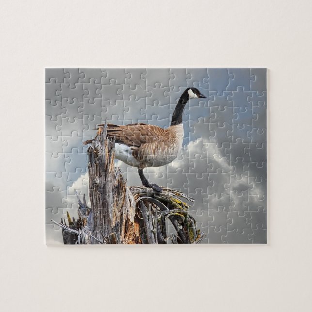 CANADA GOOSE ON A SNAG JIGSAW PUZZLE (Horizontal)