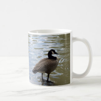 Canada Goose On Rock Coffee Mug