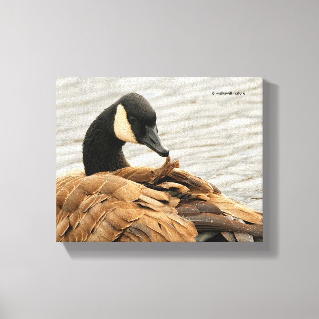 Canada Goose on the Lake Canvas Print (Front)