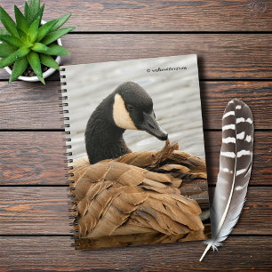 Canada Goose on the Lake Notebook