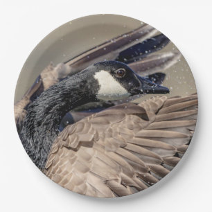 Canada Goose Paper Plate