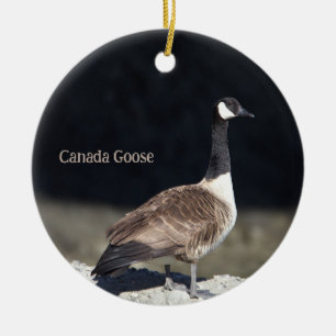 Canada Goose Photo Ornament
