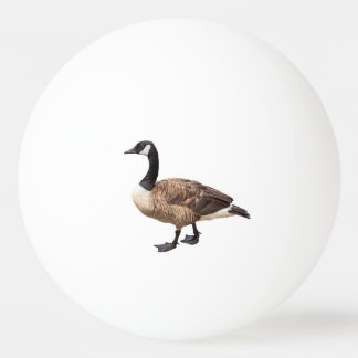 Canada Goose Ping Pong Ball