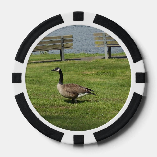 Canada Goose Poker Chips (Front)
