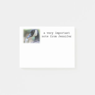 Canada Goose Post-it Notes
