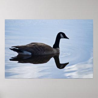 Canada Goose Poster