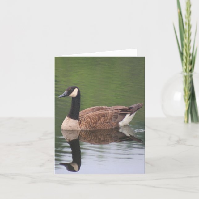 Canada Goose Reflections Nature Note Card (Front)