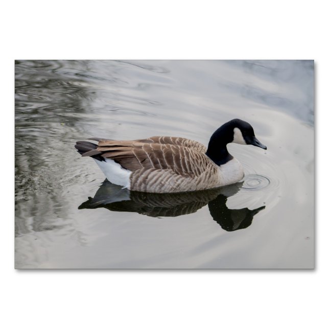 Canada Goose Table Number (Front)