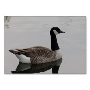 Canada Goose Table Number