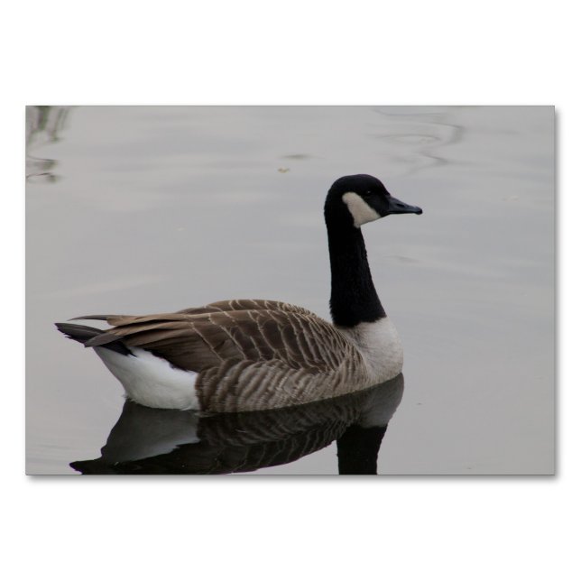 Canada Goose Table Number (Front)