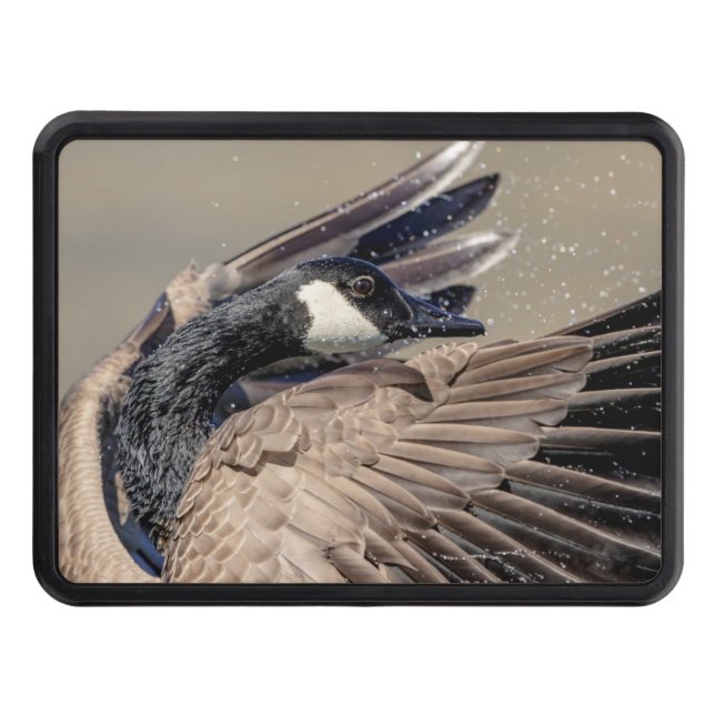 Canada Goose Trailer Hitch Cover (Front)