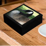Canada Goose Wildlife Photo Gift Box<br><div class="desc">For animal and nature lovers! Store trinkets,  jewellery and other small keepsakes in this wooden gift box with ceramic tile featuring the wildlife photo image of a beautiful Canada Goose. Select your gift box size and colour.</div>