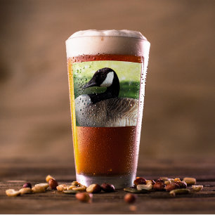Canada Goose Wildlife Photo Glass