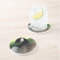 Canada Goose Wildlife Photo Sandstone