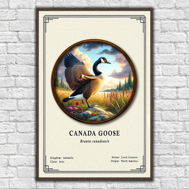 Canada Goose Zoology Series Poster (Créateur téléchargé)