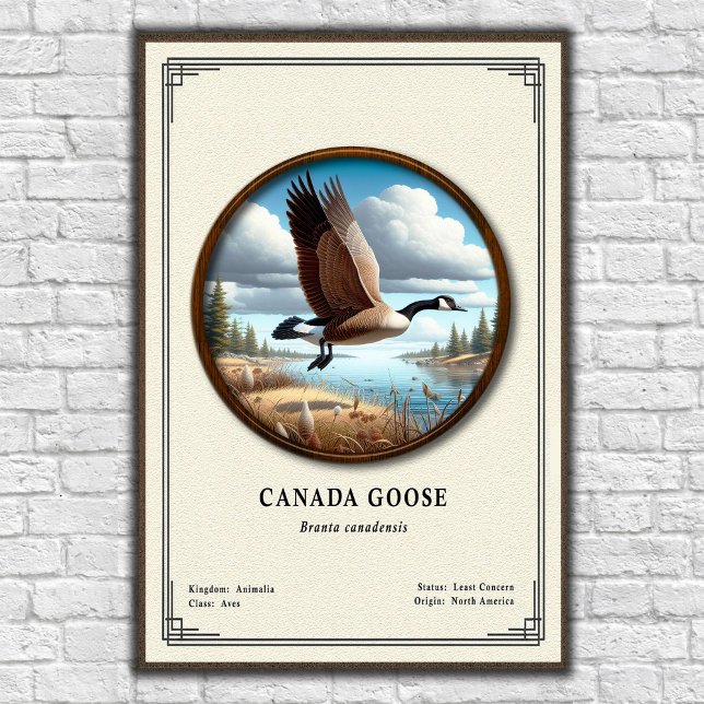 Canada Goose Zoology Series Poster (Creator Uploaded)